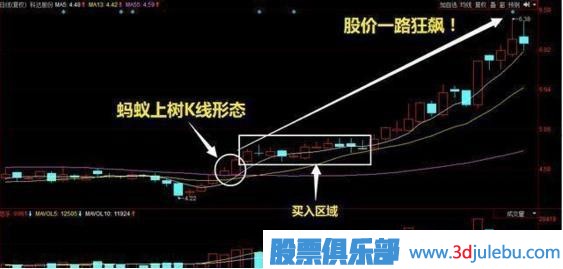 炒股出现的“蚂蚁上树”形态，记住赶紧跟上