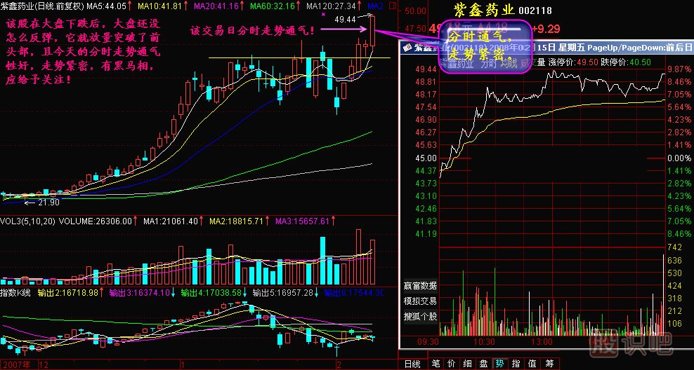 黑马亲子鉴定K线图解